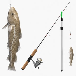 Cod Caught on Fishing Rod