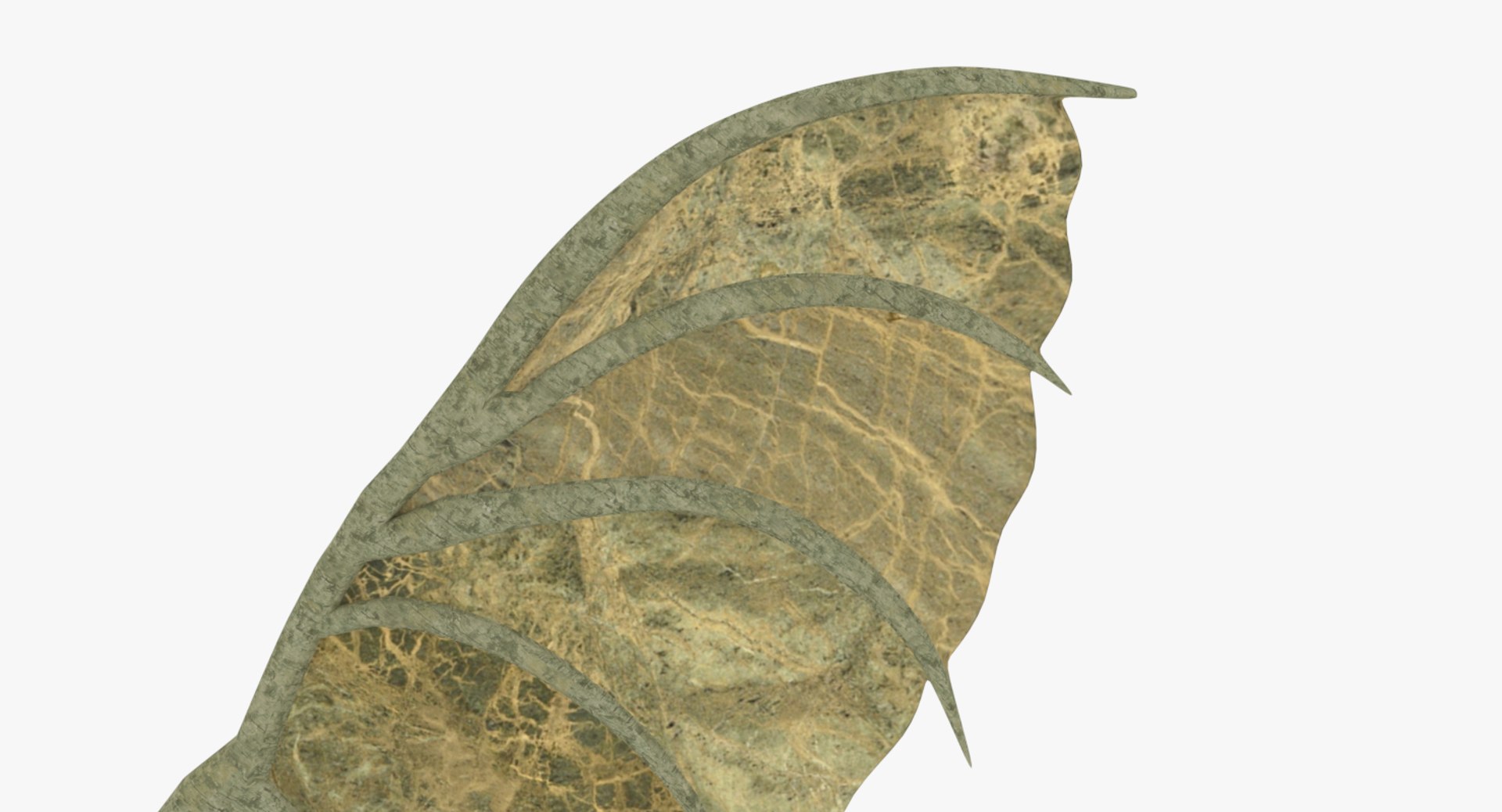 3D Dragon Wings Model - TurboSquid 1297080