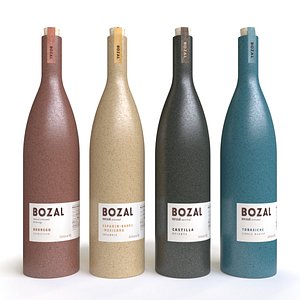 bozal tequila 3D model