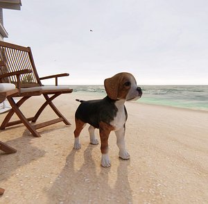 dog beagle model