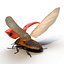 ladybug rigged animate 3d model