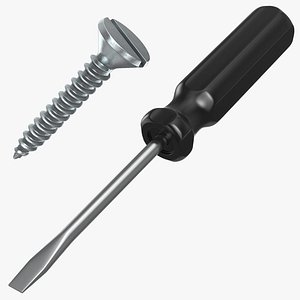 Flat Head Screwdriver and Screw
