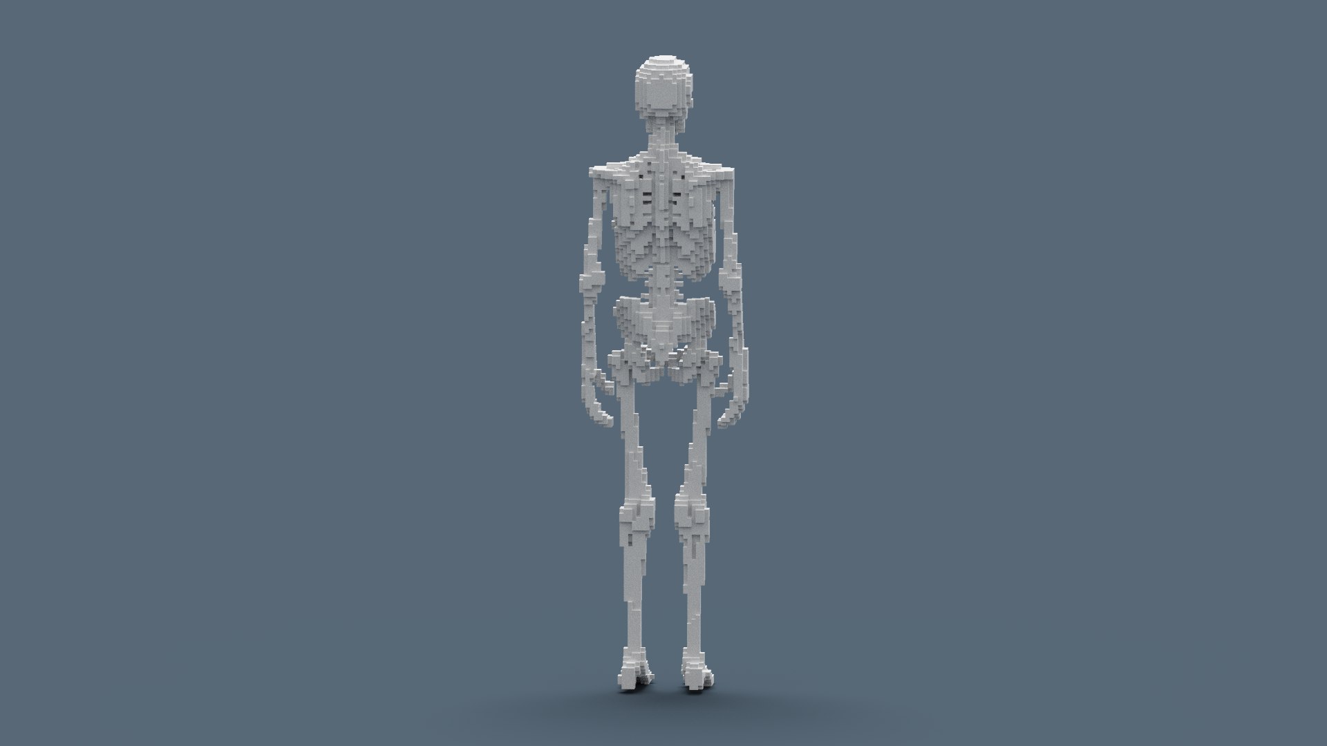 Voxel Skeleton 3D - TurboSquid 1893256