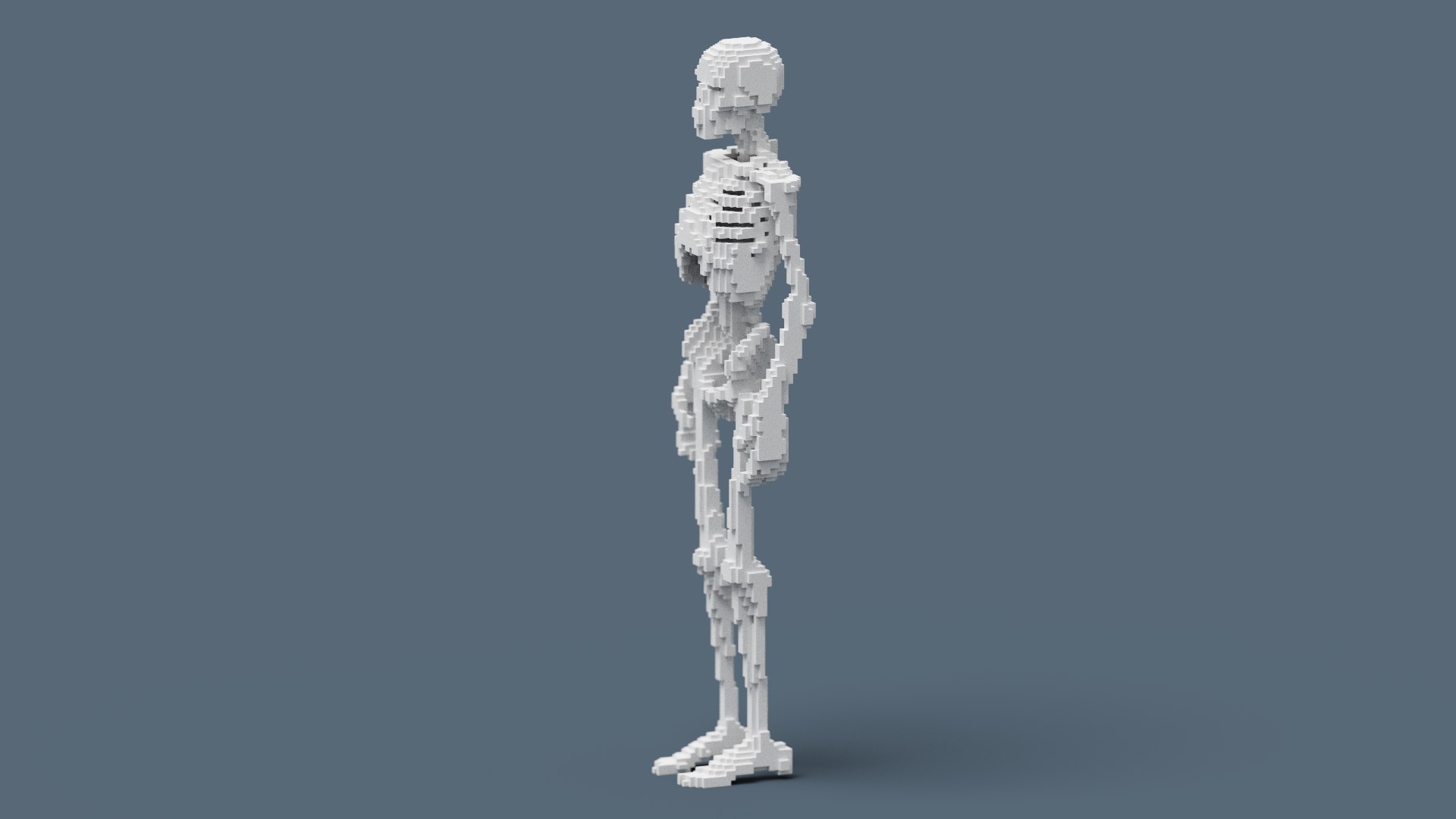 Voxel Skeleton 3D - TurboSquid 1893256