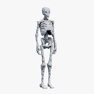 Voxel Skeleton 3D