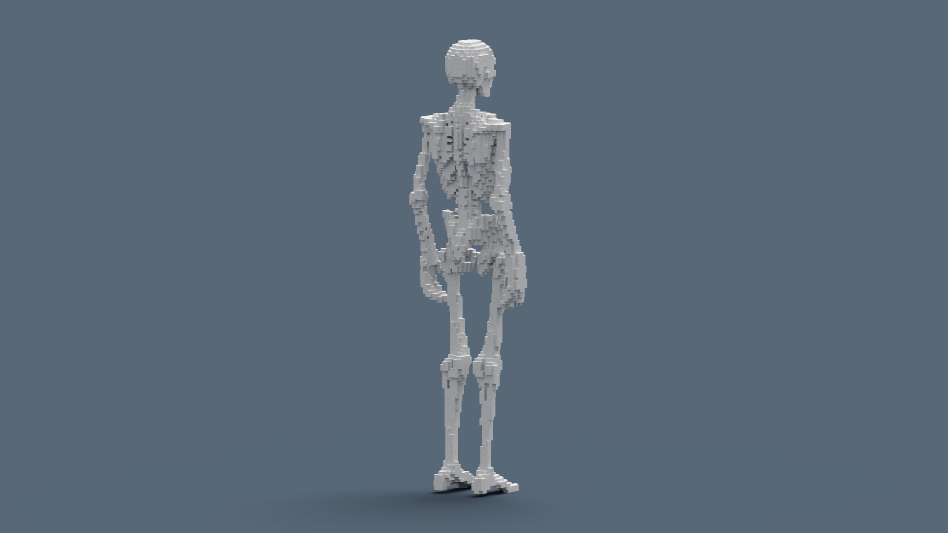 Voxel Skeleton 3D - TurboSquid 1893256