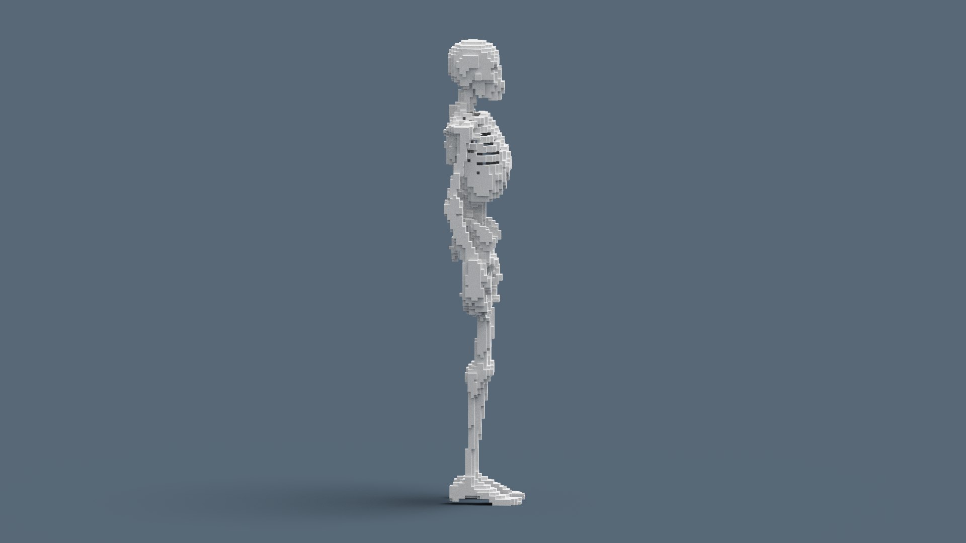 Voxel Skeleton 3D - TurboSquid 1893256