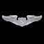 Insigne Ailes de pilote de service USAAF