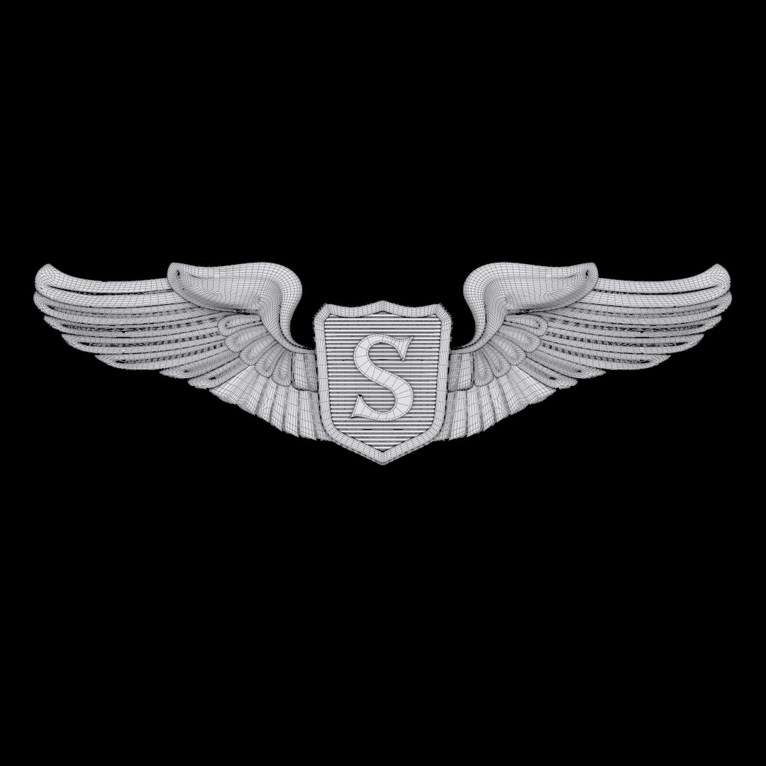 3D USAF Wings Badge set 3D Model Pack https://p.turbosquid.com/ts-thumb/2Z/nS7lvp/TkeELJtc/service_pilot_01w/jpg/1662990142/1920x1080/fit_q87/ae2e3913e74d9405d41bbc835c92eed179690113/service_pilot_01w.jpg