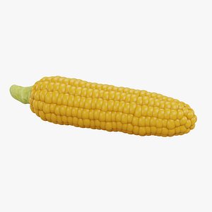 3D Corn 1 model
