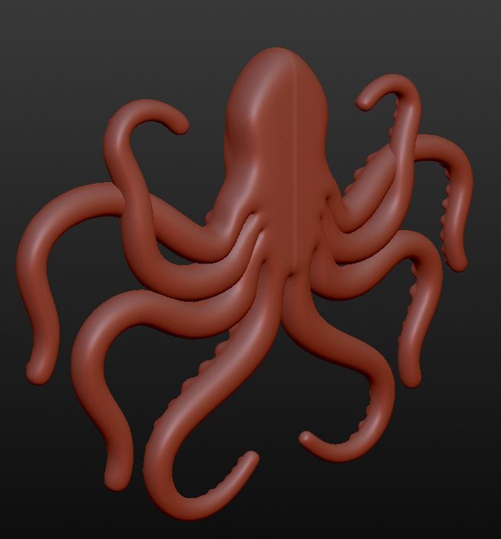 3d Model Of Octopus