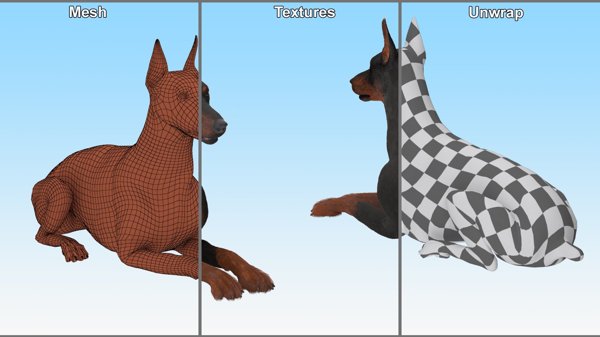 Doberman Pinscher Lying Down Fur for Cinema 4D 3D https://p.turbosquid.com/ts-thumb/2a/dzW7yw/8l/doberman_pinscher_lying_down_fur_009/jpg/1753837361/1920x1080/fit_q87/14056c59ec2486d67cdb08214e89f2c11ea1e87e/doberman_pinscher_lying_down_fur_009.jpg