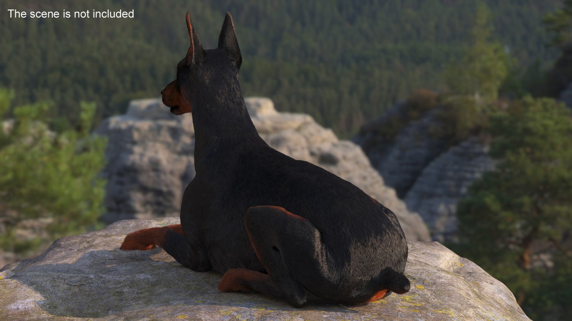 Doberman Pinscher Lying Down Fur for Cinema 4D 3D https://p.turbosquid.com/ts-thumb/2a/dzW7yw/HI/doberman_pinscher_lying_down_fur_004/jpg/1753837346/1920x1080/fit_q87/577be26e6e053cd66c3bb5d071c54772970093f4/doberman_pinscher_lying_down_fur_004.jpg