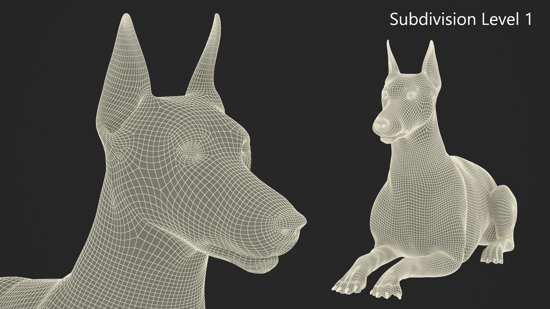 Doberman Pinscher Lying Down Fur for Cinema 4D 3D https://p.turbosquid.com/ts-thumb/2a/dzW7yw/RT/doberman_pinscher_lying_down_fur_011/jpg/1753837367/1920x1080/fit_q87/0cde37eb00dc0558366bd6bd89cea2002e03341c/doberman_pinscher_lying_down_fur_011.jpg