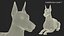 Doberman Pinscher Lying Down Fur for Cinema 4D