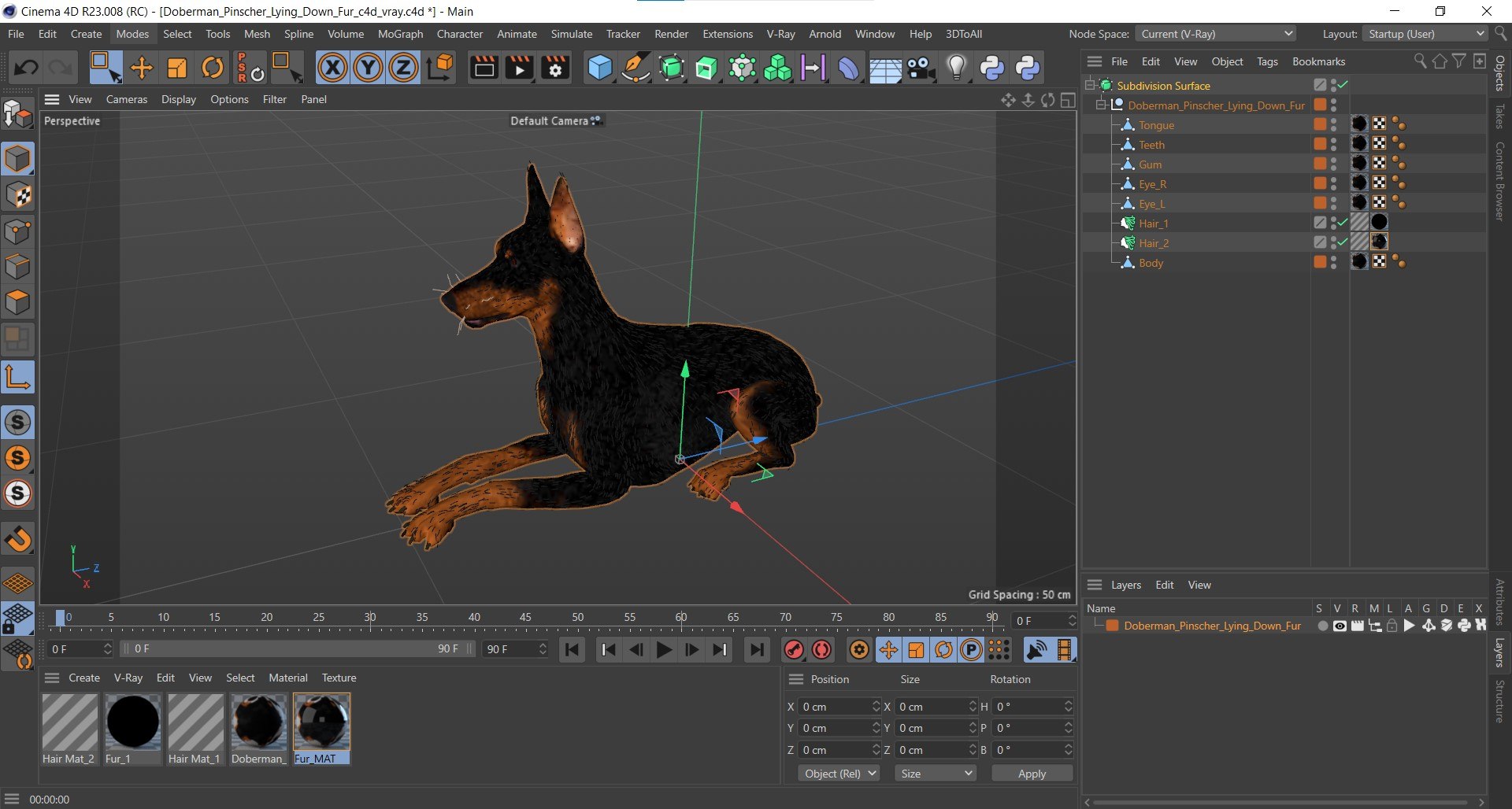 Doberman Pinscher Lying Down Fur for Cinema 4D 3D https://p.turbosquid.com/ts-thumb/2a/dzW7yw/TV/doberman_pinscher_lying_down_fur_for_cinema_4d_1001/jpg/1753837388/1920x1080/fit_q87/610a1573ec4a172e951f59c85f45d7478e0f1a4b/doberman_pinscher_lying_down_fur_for_cinema_4d_1001.jpg