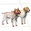3d model character studio dogs rigged
