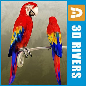 3d model red macaw parrot birds