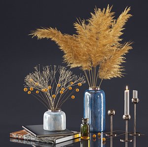 3D dry plant decor set model