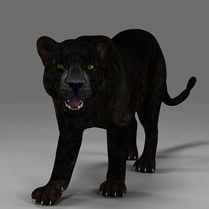 3D model Black Panther Rigged and Animation V02 in Blender Unity