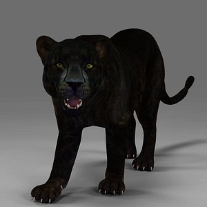 Black Panther Rigged and Animation V02 in Blender Unity