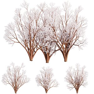 3D Spring Cherry Bloom Vol 399 model