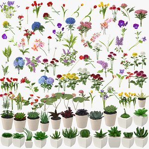 74 Flowers and 23 Succulents Collection