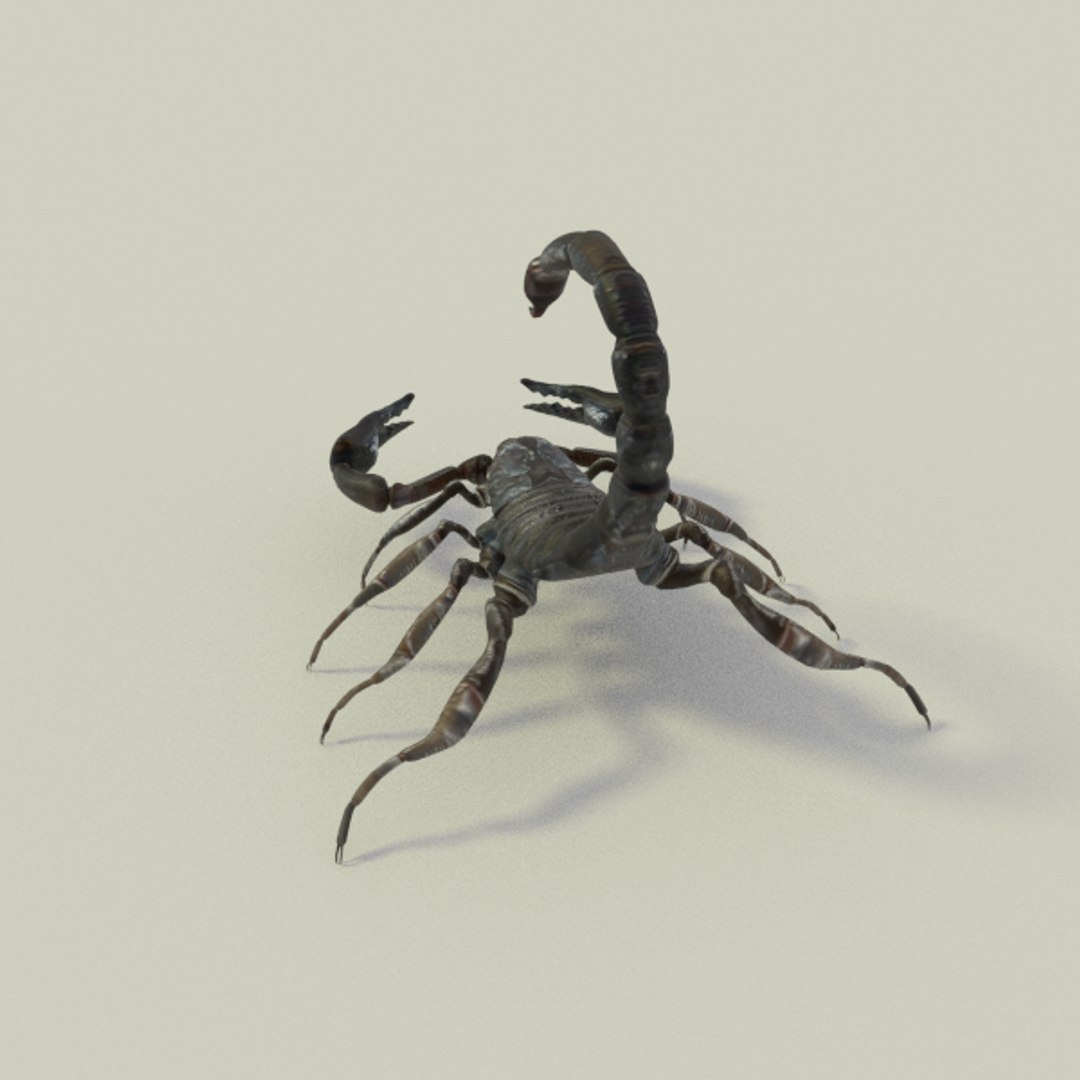 X Scorpion Animation