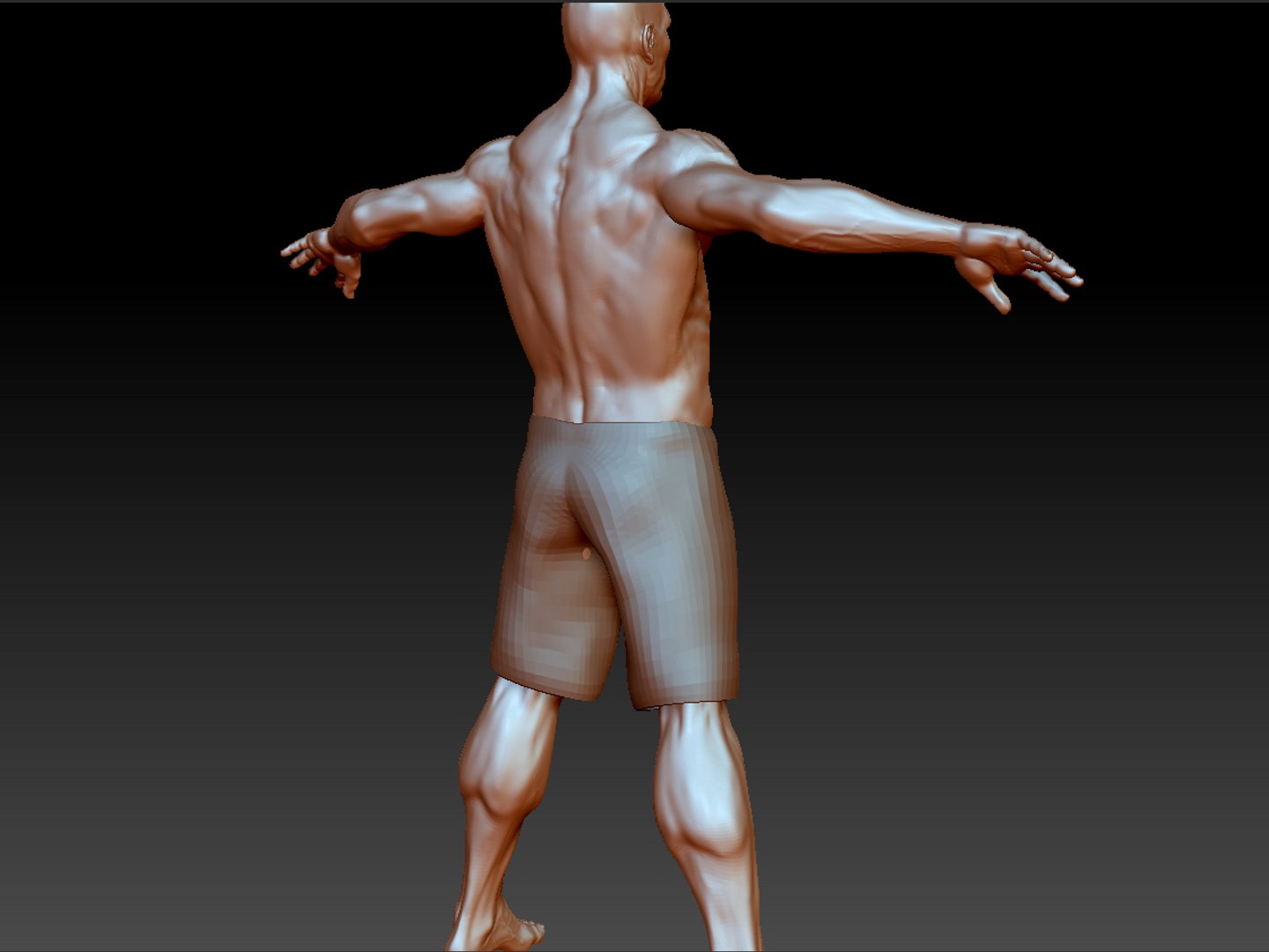 3d model of body fighters