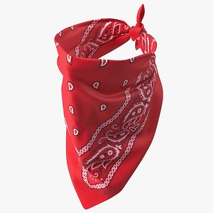 Bandana Paisley Pattern Red