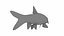 Animated Fish Collection
