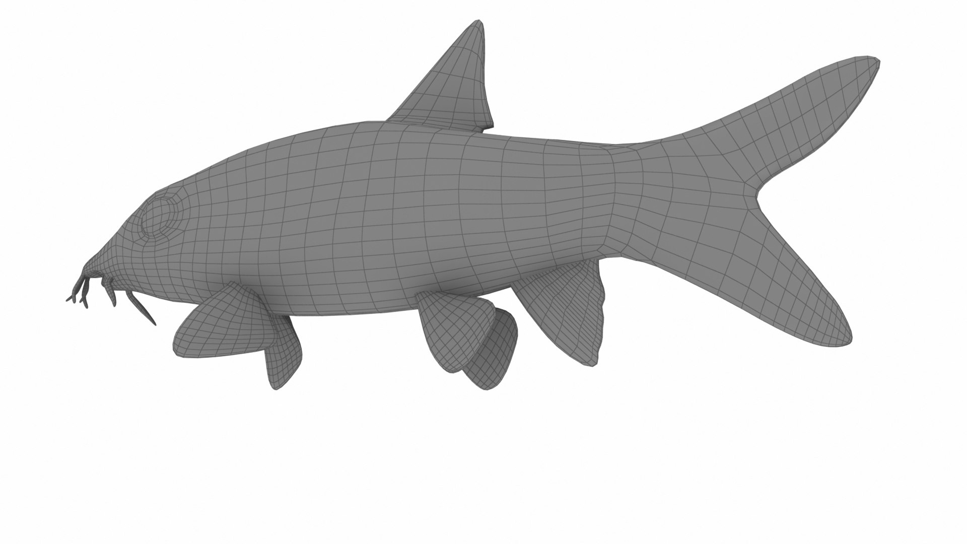 3D deutschland fish model https://p.turbosquid.com/ts-thumb/2b/giYiAT/vtfv3dGM/w4/jpg/1576877479/1920x1080/fit_q87/89de938266021f4f8c7bc59780bd39a2c9fac7a8/w4.jpg