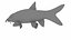 Animated Fish Collection