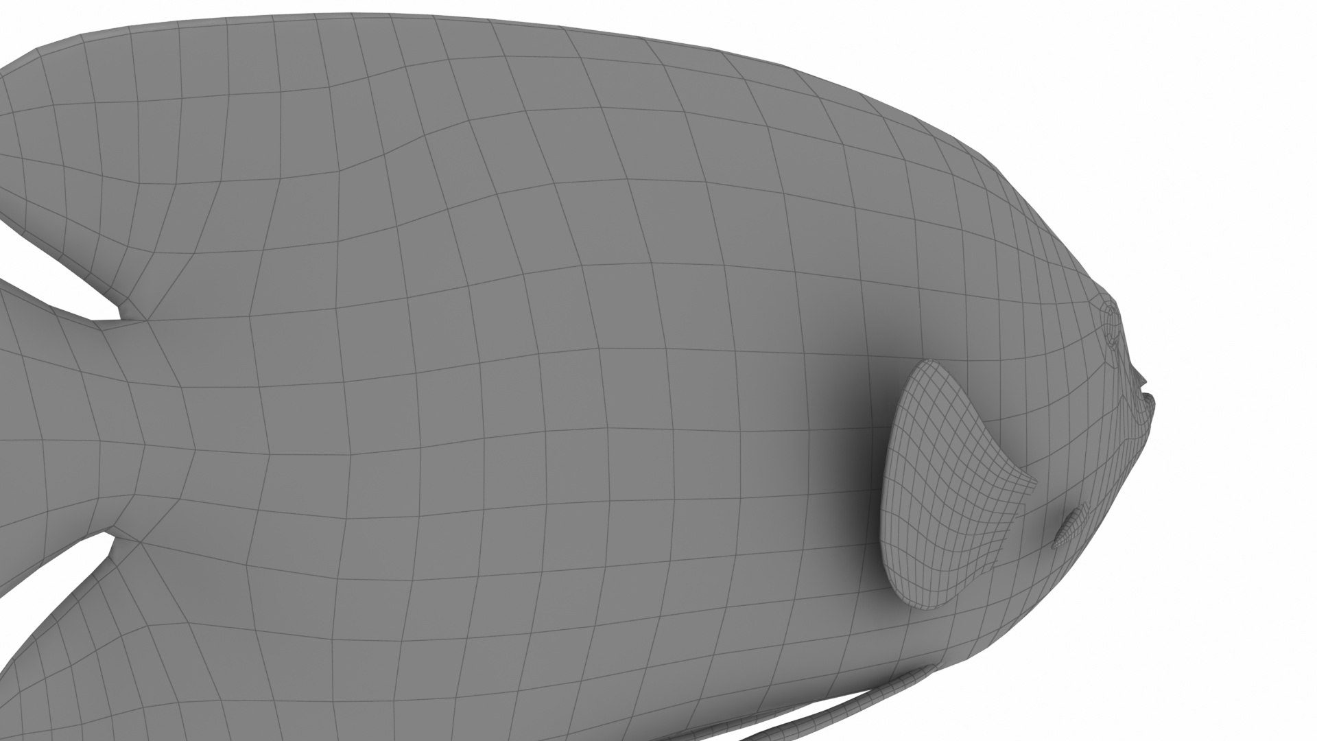 3D deutschland fish model https://p.turbosquid.com/ts-thumb/2b/giYiAT/wdkMo3xU/w2/jpg/1576877221/1920x1080/fit_q87/429f2c1a8312f5429e8b24c39091e687dd6c2ee1/w2.jpg