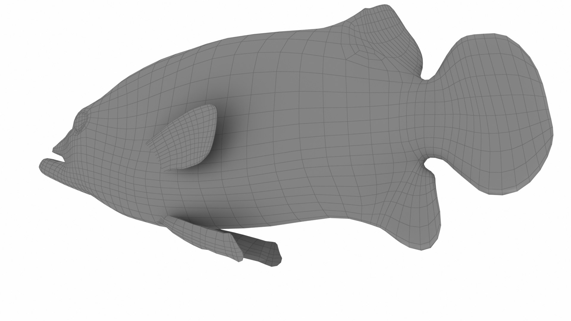 3D deutschland fish model https://p.turbosquid.com/ts-thumb/2b/giYiAT/xVQmWsfU/w3/jpg/1576877371/1920x1080/fit_q87/a93bb90d1280427e93cebc83a2151ea445899632/w3.jpg