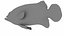 Animated Fish Collection