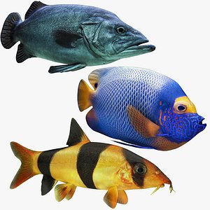 3D deutschland fish model