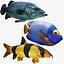 Animated Fish Collection