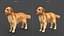 Real-Time Dog Golden Retriever 3D Model