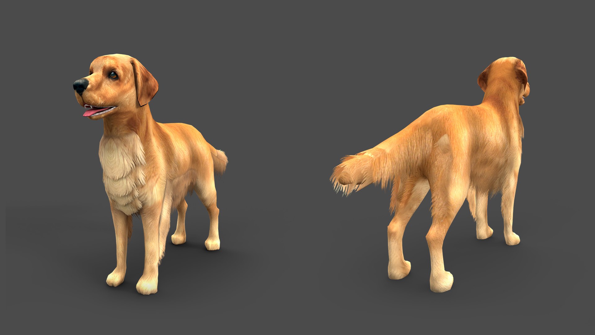 games dog en retriever obj https://p.turbosquid.com/ts-thumb/2c/6AKrzr/2n/shepherdstaticset1920x10800702goldenretrievergrey/jpg/1773147764/1920x1080/fit_q87/f297ab235aa86df9191ecd9a6f645d7ab8261db9/shepherdstaticset1920x10800702goldenretrievergrey.jpg