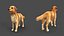 Real-Time Dog Golden Retriever 3D Model
