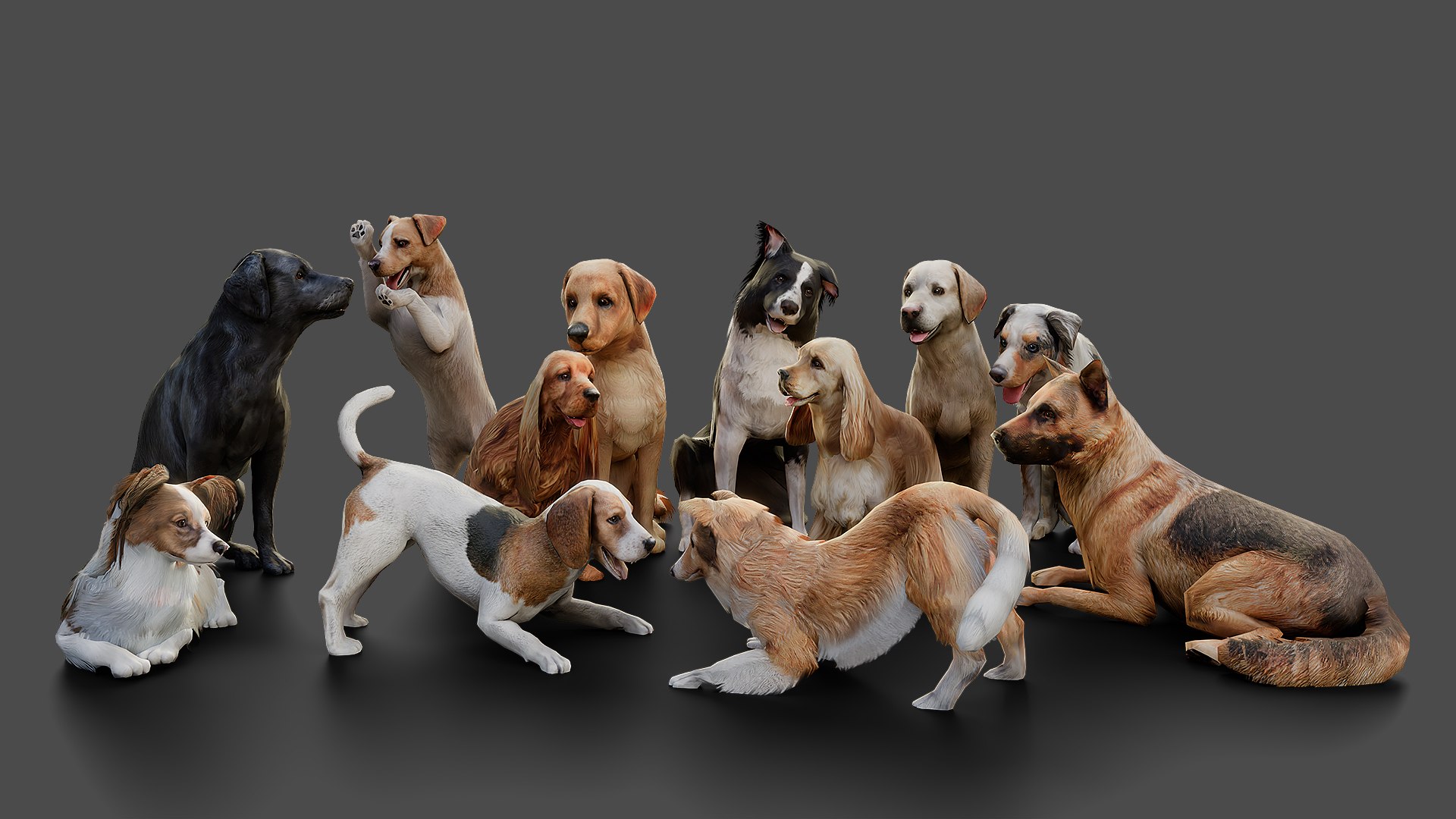 games dog en retriever obj https://p.turbosquid.com/ts-thumb/2c/6AKrzr/RA/shepherdstaticset1920x10801301allgray/jpg/1773147765/1920x1080/fit_q87/09d048d8aee4faaee96e5e5c4b30209b7a865e60/shepherdstaticset1920x10801301allgray.jpg