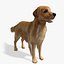 Real-Time Dog Golden Retriever 3D Model
