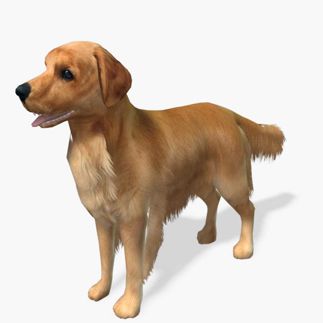 games dog en retriever obj https://p.turbosquid.com/ts-thumb/2c/6AKrzr/X8JKmOFl/goldenretrieverpreview01/jpg/1378814519/1920x1080/fit_q87/7a2f265a2710aa04a260d35c57a497a95900a4fd/goldenretrieverpreview01.jpg