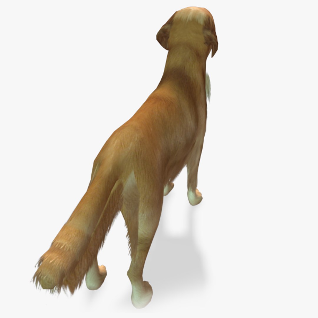 games dog en retriever obj https://p.turbosquid.com/ts-thumb/2c/6AKrzr/ZU36McY1/goldenretrieverpreview06/jpg/1378814545/1920x1080/fit_q87/6da12996d93a2ede7ac0e05410faa6d59b6334b1/goldenretrieverpreview06.jpg