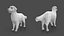 Real-Time Dog Golden Retriever 3D Model