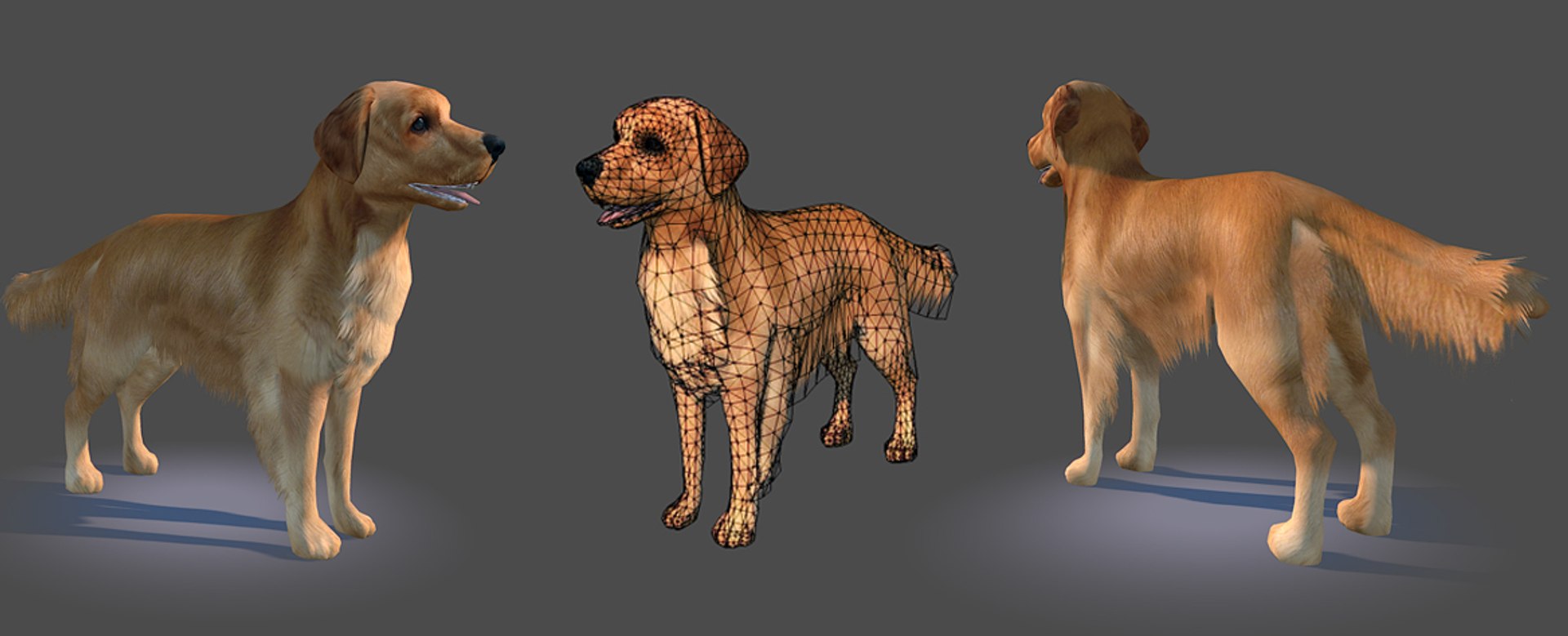 games dog en retriever obj https://p.turbosquid.com/ts-thumb/2c/6AKrzr/qILpmemC/goldenretrieverpreview03/jpg/1378814530/1920x1080/fit_q87/c5a5d2bc81ba4bfed69f35ce8599fd936a04b19c/goldenretrieverpreview03.jpg