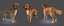 Real-Time Dog Golden Retriever 3D Model