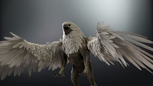 Griffon 3D model