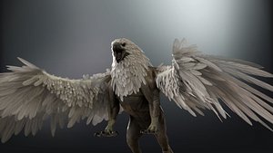 Griffon